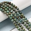 Natural Turquoise Beads Strands G-P506-04A-01-4