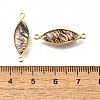 Brass Pave Natural Paua Shell Connector Charms KK-E794-01G-06-3