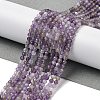 Natural Amethyst Beads Strands G-G189-D22-06-2