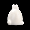 Cute Resin Animal Ornaments RESI-I052-01J-2