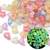 Luminous Transparent Acrylic Beads OACR-B031-15-1