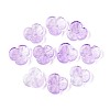 Baking Paint Transparent Glass Bead Caps DGLA-N014-09A-06-1