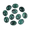 Natural African Turquoise(Jasper) Cabochons G-ZX005-08-1
