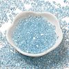 Glass Seed Beads SEED-K009-08A-15-2