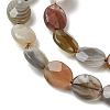 Natural Botswana Agate Beads Strands G-H004-B02-02-4