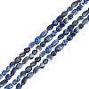 GOMAKERER 2 Strands Natural Sodalite Nuggets Beads Strands G-GO0001-43-1