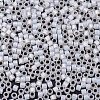 MIYUKI Delica Beads SEED-X0054-DB0221-4
