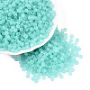 FGB Frosted Transparent Glass Seed Beads SEED-N013-02A-10-1