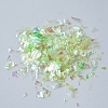 Plastic Candy Sequins/Paillette Chip DIY-I019-01K-2