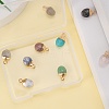10Pcs 10 Style Natural Gemstone Charms G-LS0002-15-5