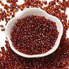 Spray Painted Glass Seed Beads SEED-F005-05A-04-2