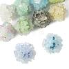 10Pcs 10 Colors Resin Beads RESI-FS0002-24A-3