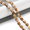 Natural Picture Jasper Beads Strands G-I369-B04-01-2