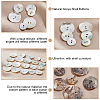   3 Style Natural Akoya Shell Buttons DIY-PH0009-79-6