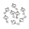 Gifts Ideas for Her Tibetan Style Alloy Charms LF11975Y-NF-3
