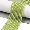 Natural Peridot Beads Strands G-ONLY-T-B07-01A-2