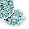 Picasso Glass Seed Beads SEED-Q041-02B-1