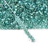TOHO 6/0 Round Beads SEED-TR06-0264-2