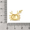 Brass Pendants KK-I364-06G-01-3