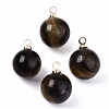 Natural Tiger Eye Charms G-N332-024G-07-1