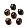 Natural Tiger Eye Cabochons G-G145-01A-29-1