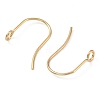 316 Surgical Stainless Steel Earring Hooks STAS-P162-13G-B01-2