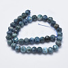 Natural Apatite Beads Strands G-K246-38-2