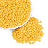 Opaque Glass Seed Beads SEED-N012-09A-04-1