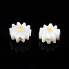 Natural Freshwater Shell Beads SHEL-N003-20A-01-3