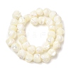 Natural Trochid Shell/Trochus Shell Beads Strands SHEL-F007-01-2