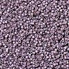 MIYUKI Delica Beads X-SEED-J020-DB1064-2