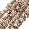 Natural Freshwater Shell Beads Strands SHEL-A006-05-1