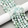 Natural Glass Beads Strands G-K395-A02-02-1