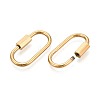 304 Stainless Steel Locking Carabiner STAS-N115-68G-2