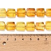 Natural Amber Beads Strands G-C260-A01-01-5