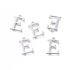 Non-Tarnish 304 Stainless Steel Charms STAS-K215-P-2