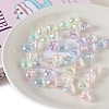 Opaque Acrylic European Beads X-OACR-F010-17-1