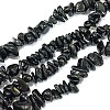 Natural Black Tourmaline Chip Bead Strands X-G-L444-08-2