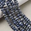 Natural Blue Spot Jasper Beads Strands G-L649-C01-01-1