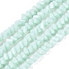Opaque Glass Beads Strands GLAA-N019-3mm-14-1