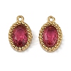 Ion Plating(IP) 304 Stainless Steel Micro Pave Cubic Zirconia Charms STAS-K256-19G-04-1