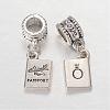 Rectangle with Word Passport Alloy European Dangle Large Hole Pendants MPDL-F017-06-2