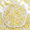 Glass Seed Beads X1-SEED-K010-03A-3