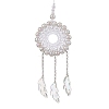 Acrylic Woven Net/Web with Feather Pendant Decorations HJEW-JM02352-03-1