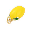 Brass with Enamel Charms LS-KK-Q096-16A-G-2