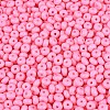 Opaque Glass Seed Beads SEED-N012-09A-11-3