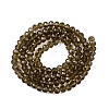 Glass Beads Strands EGLA-A034-T10mm-D16-3
