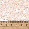 Baking Paint Glass Seed Beads SEED-F005-01A-02-4