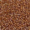 MIYUKI Delica Beads SEED-J020-DB1734-3