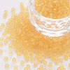 8/0 Transparent Glass Seed Beads SEED-S048-H-002-1